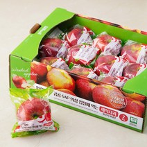 곰곰 GAP 의성 껍질째먹는 세척 사과 2KG 박스 (7~12입), 1박스