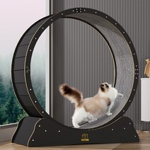 개츠비 고양이 캣휠 런닝머신 뉴디자인, 1개, 블랙(M)