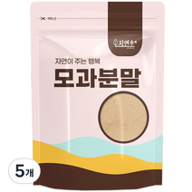 자연초 모과 분말 가루, 300g, 5개