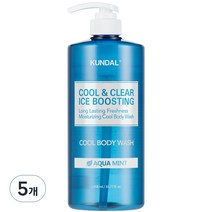 쿤달 쿨 앤 클리어 아이스 부스팅 쿨 바디워시 아쿠아민트향, 1058ml, 5개
