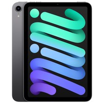 Apple 아이패드 mini, 스페이스 그레이, 64GB, Wi-Fi