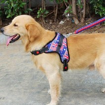 퍼플펫 강아지 대형견 중형견 L형 하네스 + 리드줄 세트 M, 1세트, 유니언잭