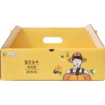 젊은농부 호박즙, 100ml, 30개