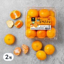 GAP 인증 해풍맞은 올레길 당도선별 하우스감귤, 1kg, 2개