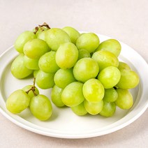 페루산 씨없는 청포도, 800g, 1개