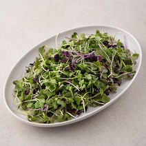 국내산 친환경 어린잎 채소믹스, 200g, 1개