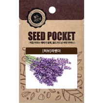 월드가드닝 행복한 텃밭 좋은 씨앗 허브 라벤더씨 100개, 1개