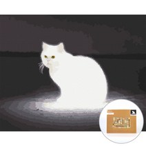 아트조이 물감 2배 DIY 명화그리기 40 x 50 cm, 문라이트 고양이