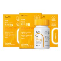 셀트리온 이너랩 액티브 활력 비타민B 콤플렉스 30g, 3개, 60정