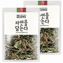 조은약초 프리미엄 박하, 100g, 2개, 2개