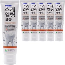 이밸런스 스케일링 치약, 120g, 6개