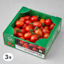 GAP 대추방울토마토, 1kg, 3개