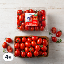 충남세도 GAP 인증 대추방울토마토, 750g, 4팩
