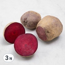 친환경 인증 제주도 비트, 1kg, 3개