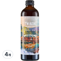 아임얼라이브 콤부차 유리병 체리레몬, 4개, 315ml