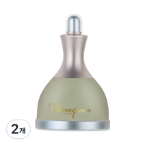 더마퀸 페이스 앤 아이 쿨링 스틱, 선인장, 2개