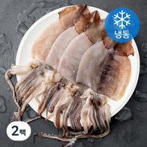 국산 반건조 오징어 (냉동), 500g, 2팩