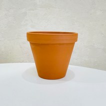 앙플랜트 독일토분 스탠다드, 황토