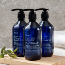 탐사 핸드워시 오션블루향, 300ml, 3개입