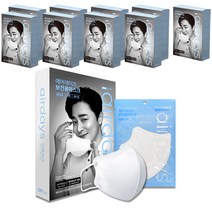 에어데이즈 보건용 마스크 대형 KF94, 10개입, 10개, 화이트