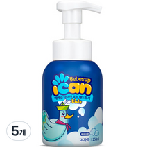 베베숲 아이캔 포밍 핸드워시 파우더향, 5개, 250ml