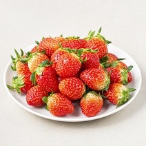 곰곰 고령 한입 딸기, 500g, 1팩