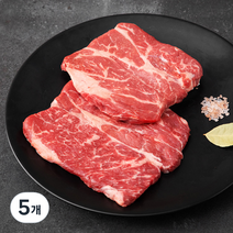 푸드랩플러스 미국산 프라임 척아이롤 구이용 (냉장), 400g, 5개