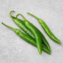 청양 고추, 60g, 1봉