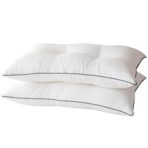 라뽐므 프로프르 알러지방지 베개솜 2p, 화이트, 1세트