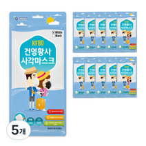 건영크린텍 황사 사각 마스크 화이트 대형 KF80, 50개입, 5개