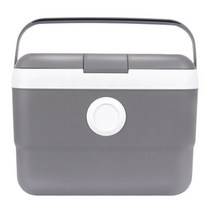 올리빙 도트 아이스박스, 그레이, 21L