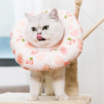 멍지 강아지 고양이 넥카라 달콤한 딸기 사랑 M, 93g, 1개