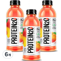 Protein2O 프로틴음료 피치망고, 500ml, 6개