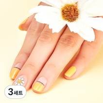 넬로 팔레트 젤 네일 스티커, 샤인데이지, 3세트