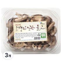 현재농원 소백산 맑은 건표고 버섯, 100g, 3개