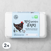 양지뜨레 무항생제 자연방사 유정란 1번란 15구, 2개