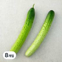 국내산 백오이, 2개입, 4개