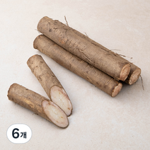 국내산 우엉, 300g, 6개