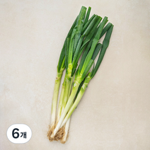 곰곰 국내산 흙대파, 1kg, 6개