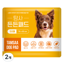 탐사 고흡수 든든패드 레몬향, 50매, 2개
