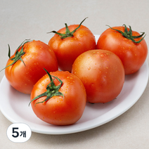 광식이농장 GAP 인증 완숙 토마토, 1kg, 5개