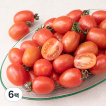 곰곰 친환경 대추방울 토마토, 500g, 6팩