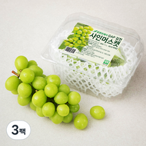 GAP 김천 샤인머스캣, 500g, 3팩