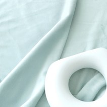 천팜 대폭 가브리엘 클라우드 3mm EF 극세사 패브릭 원단, 민트