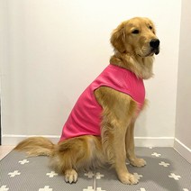 도기스타 중대형견 쫀쫀 민소매 티셔츠, 체리핑크