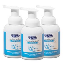 포멀비 포밍 핸드워시 포근한 파우더향, 3개, 250ml