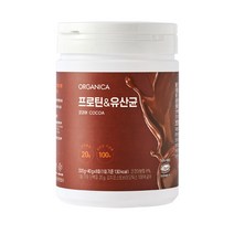 올가니카 프로틴 앤 유산균 코코아, 320g, 1개