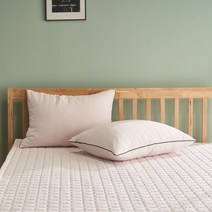 심플 모던 호텔식 먼지없는 세미 워싱 간절기 패드 겸 카페트, 베이지