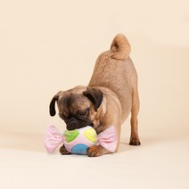 해밀펫 반려동물 스마트 캔디 커버 장난감, 혼합색상, 1개