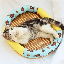 랜보어 반려동물 도톰 패턴가드 쿨매트, 곰돌이